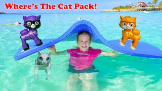 assistant searches for paw patrol and cat pack on disney castaway cay