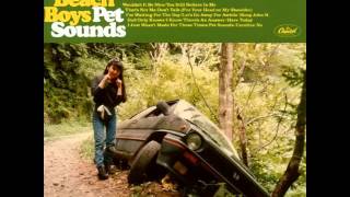 Peter Thomas Sound Orchestra - Pet Sounds