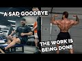 BUILDING A THICC BACK | BITTERSWEET ANNOUNCEMENT