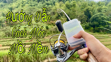 Hướng Dẫn Cách Móc Mồi Mềm Câu Lure Cực Kỳ Đơn Giản - Hạnh Fishing