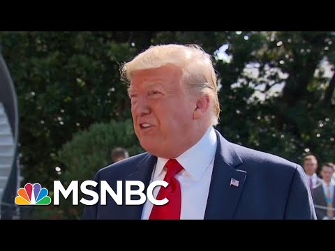 A Look Back At Trump's Year In The White House | Hallie Jackson | MSNBC