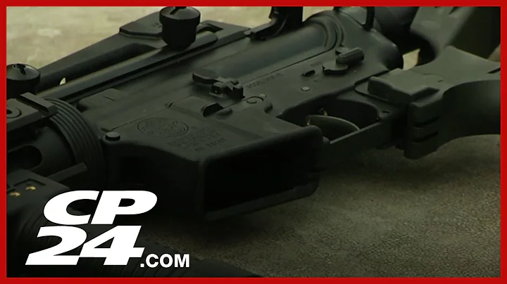 Government to share more details about gun buyback program today