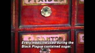 How Sweet It Is: The Story of Sugar (Accessible Preview)