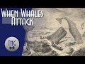 When whales attack