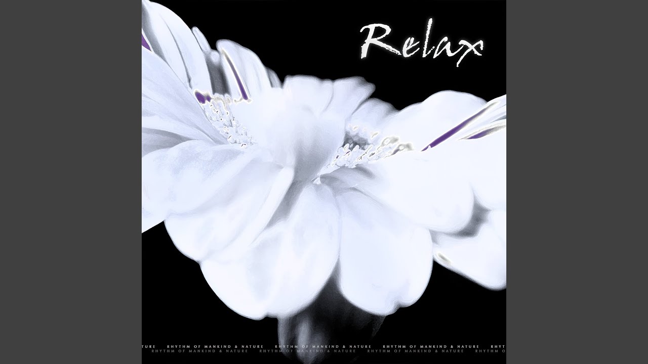 Watch Meditation D.D on YouTube Watch Meditation D.D on YouTube
