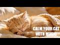 Music For Cats : Calm Your Cat Instantly Anxiety Relief