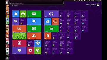 Video corruption when opening Parallels Workstation 6 for Linux (Ubuntu 12.04)