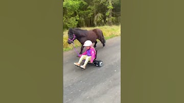 Thumbnail of Ella and Black having fun as always 😁 #shorts #pony #horse