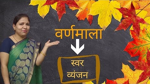 वर्णमाला | स्वर तथा व्यंजन | कक्षा-1 | हिंदी | Renu Vishwakarma