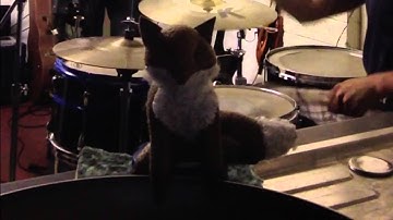 Foxer covers Armageddon (Loading Data)