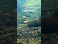 Ocean Acidification