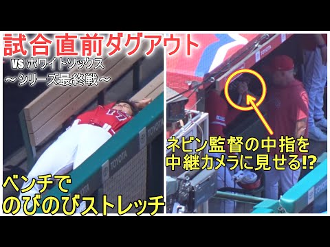 試合直前ダグアウト～ベンチでのびのびストレッチ【大谷翔平選手】対シカゴ・ホワイトソックス～シリーズ最終戦～Shohei Ohtani vs White Sox 2023