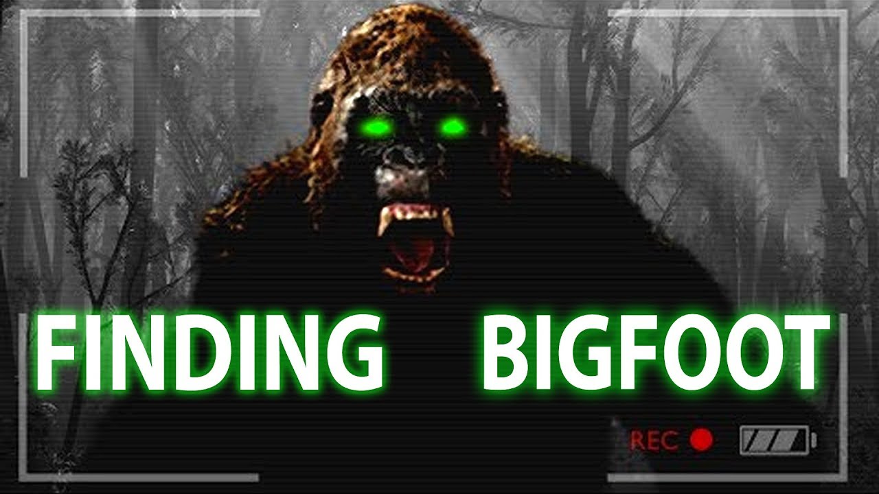 ZOEKTOCHT NAAR BIGFOOT !! 👀