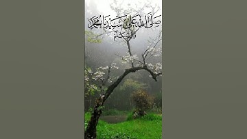 #سورة_المدثر #اكسبلور #المصحف #tiktok #دويتو #قرآن #لايك #تيك_توك #duet #راحة_نفسية #quran