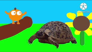 Everything has fallen into Honey Nut Cheerios add round 13