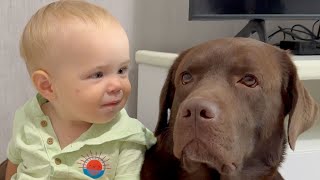 Adorable Baby Boy Has So Much Love for His Dog