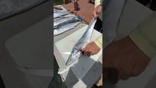 The Fastest And Easiest Way To Fillet A Fish