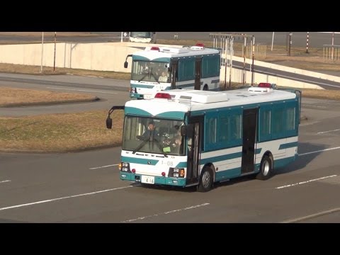 警察 大型輸送車 いすゞ エルガミオ の運転訓練 Youtube 警察 大型輸送車 いすゞ エルガミオ の運転訓練 Youtube