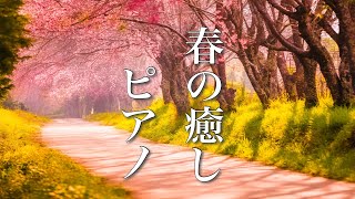 桜舞う季節に聴く、心に触れる癒しのピアノ曲【リラックスBGM】