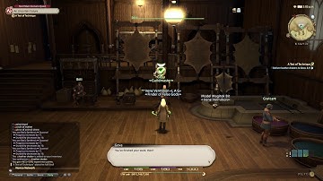 FFXIV : LTW Lv5 A Test of Technique - Walkthrough