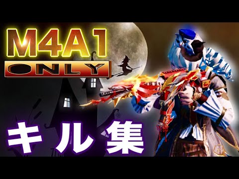 【荒野行動】81式休息…。あか猫 M4A1only神曲キル集【キル集】