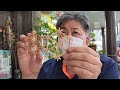伝統木工技術【組子細工】麻の葉コースター組み立てのワークショップ