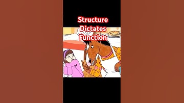 How story structure determines characters growth #bojackhorseman #authortube #screenwriting