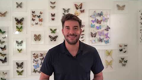 Triton bulk, dry and liquid Core 7 dosing options for reef - Walkthrough, Unboxing, Trace Elements