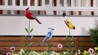 Bird Spinner Garden Stake (GSB27GS01)