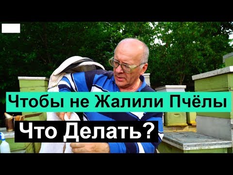 Пасека # 76 Чтобы не Кусали Пчёлы, Что Делать? Пчеловодство для начинающих