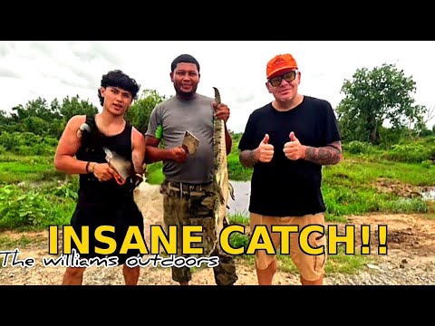 Guyana Salipenter