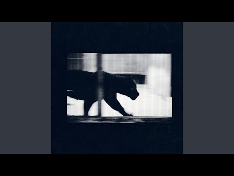 Nørbak — Verdade Absoluta