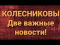 Семья Колесниковых/Новости из Дворца.