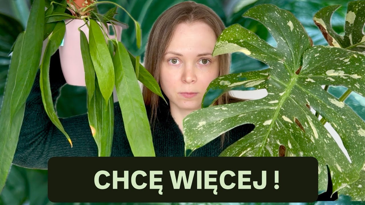 Tu nie chodzi o rośliny・mechanizm uzależnienia 