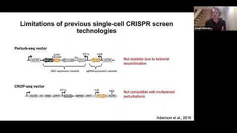 Scalable & combinatorial single-cell CRISPR screens by direct gRNA capture & targeted sequencing