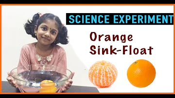 Simple science experiment (EVS) for kids - [ Does an orange sink or float in water? ] - Experiment 3