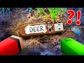 JJ and Mikey Found DEERs SECRET in Minecraft - Maizen (99 Nights In The Forest)