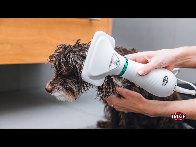 2 in 1: Hair Dryer and Brush = Warm Air Brush - Suitable for Dogs and Cats  