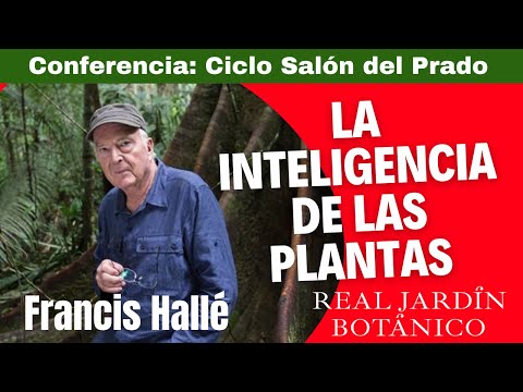 Video: Exámenes creativos con plantas: Buenos bordes hacen buenos vecinos - Conocimientos de jardinería