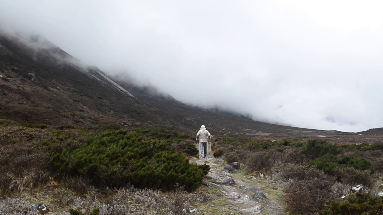 Get Goecha La Trek May 2016 Bugyals Lamuney To Thansing Youtube For iPhone Free Get Wallpaper Goecha La Trek May 2016 Bugyals Lamuney To Thansing Youtube Free HD