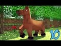 Minecraft - At Hakkında Bilinmeyen 10 Şey