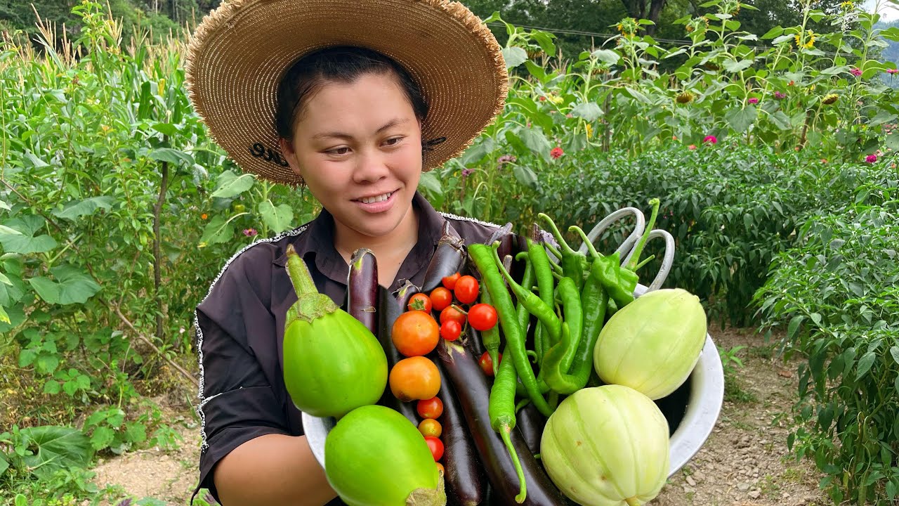 A simple life for one person 女子一人住在鄉下 ，養兩只忠狗為伴，今天摘各種蔬菜做個大餐