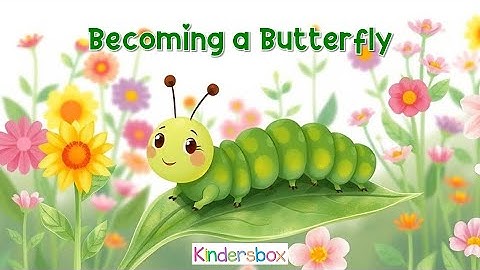 BECOMING A BUTTERFLY | KID