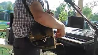 Cevizin Yaprağı Dal Arasında