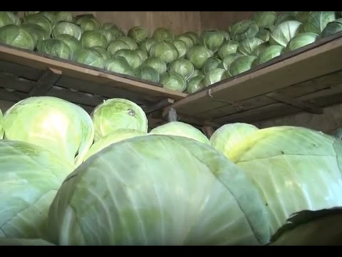 18 ნოემბრის \"ფერმერის საათის\" ანონსი