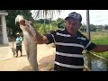 PEIXE XIRA NA BRASA COM A FAMÍLIA