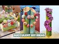 Succulent DIY Ideas from Bamboo | 多肉植物| 다육이들 | Suculentas