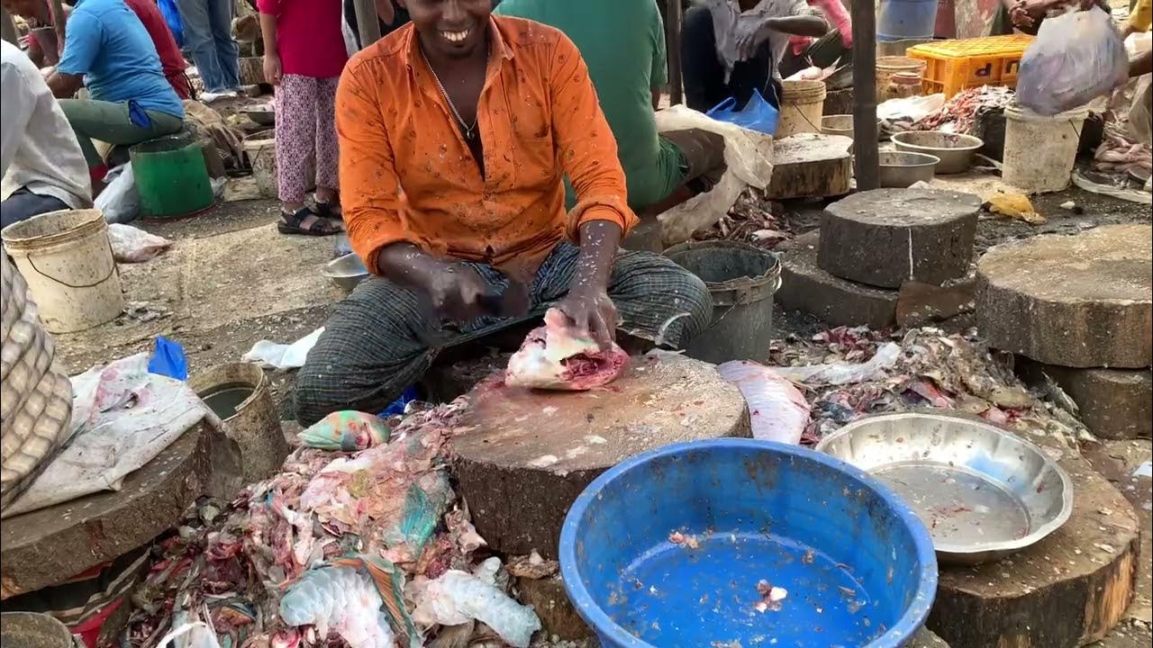5 Kg Kili Fish Cutting Ukkadam Market YouTube 5-kg-kili-fish-cutting-ukkadam-market-youtube