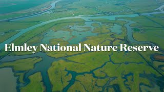 Isle of Sheppey - Aerial view of Elmley National Nature Reserve