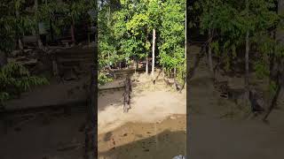 La Hot Spring